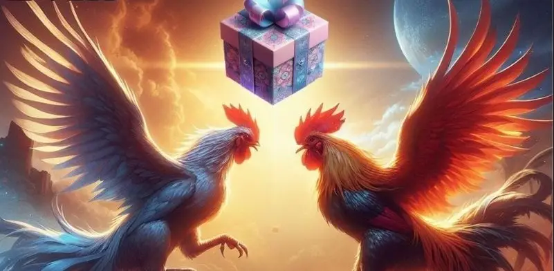 các thuật ngữ cá cược đá gà